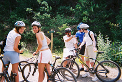 Vtt